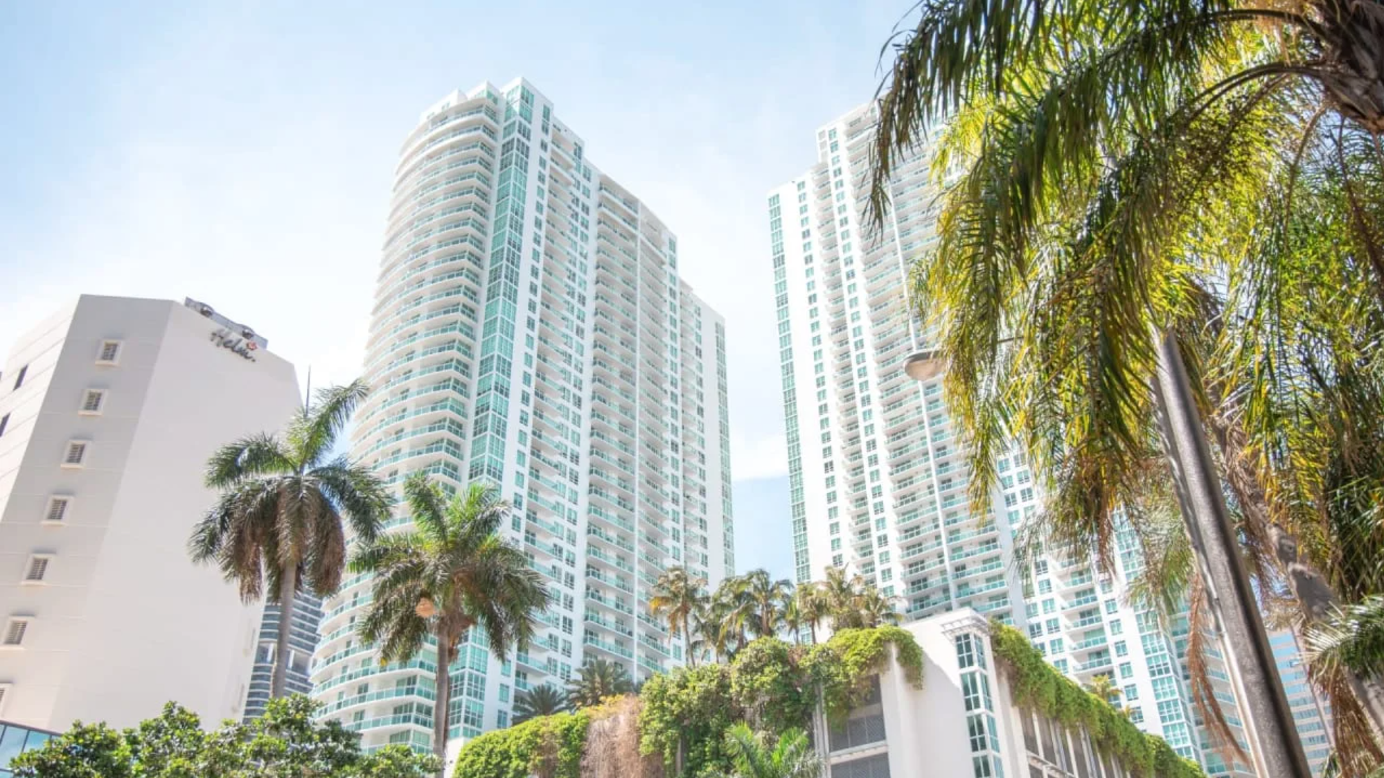 High-rise buildings with palm trees